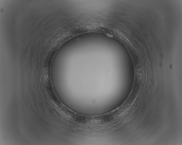 X0000077280593200611031527