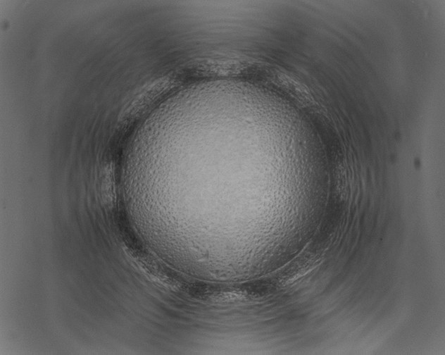 X0000077280594200611031527