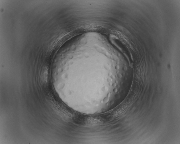 X0000077280596200611031527