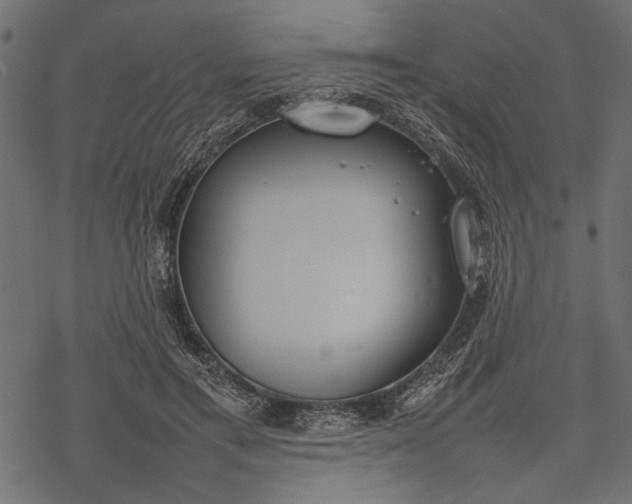 X0000077280597200611031527