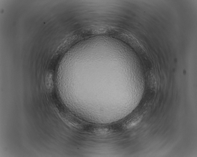 X0000077280598200611031527