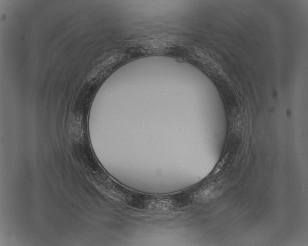 X0000077280599200611031527