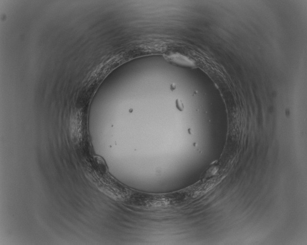 X0000077280600200611031527