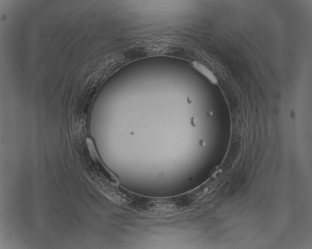 X0000077280601200611031527