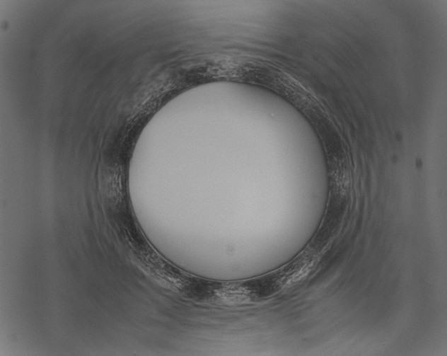 X0000077280603200611031527