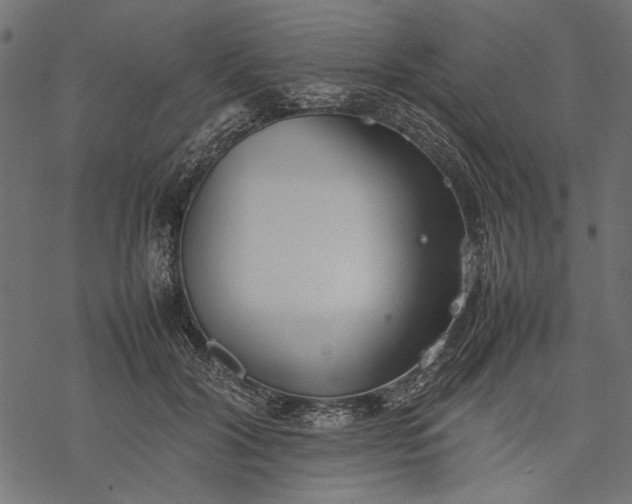 X0000077280604200611031527