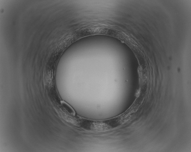 X0000077280605200611031527