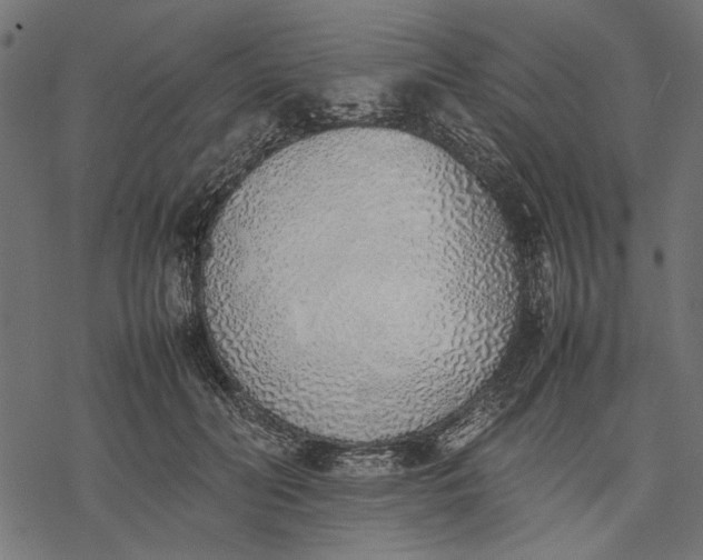 X0000077280606200611031527