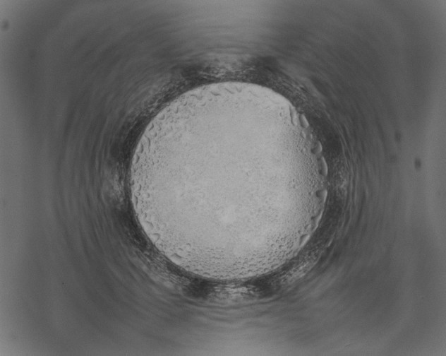 X0000077280607200611031527