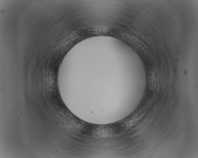 X0000077280608200611031527