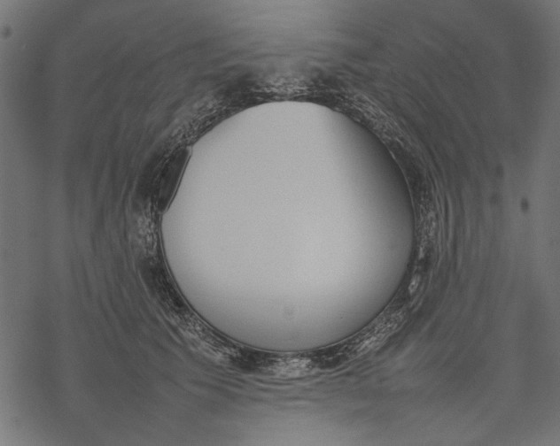 X0000077280609200611031527