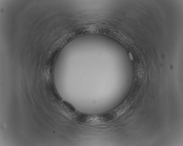 X0000077280611200611031527