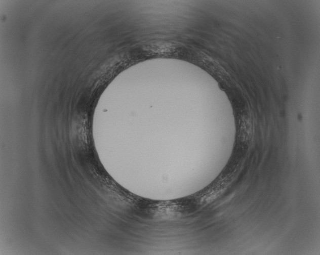 X0000077280612200611031527