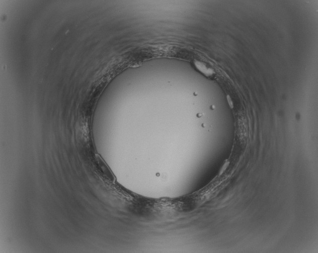 X0000077280613200611031527