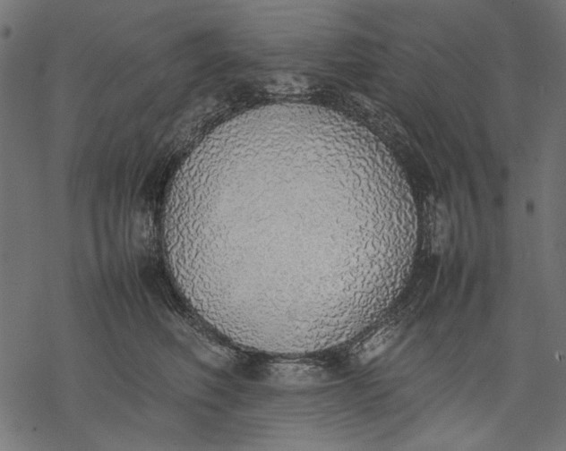 X0000077280614200611031527