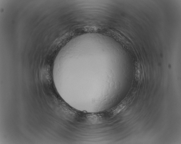 X0000077280616200611031527