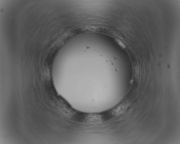 X0000077280617200611031527