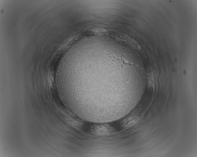 X0000077280618200611031527