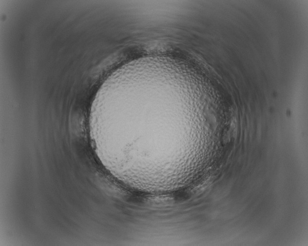 X0000077280619200611031527