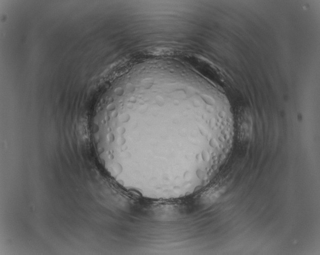 X0000077280620200611031527