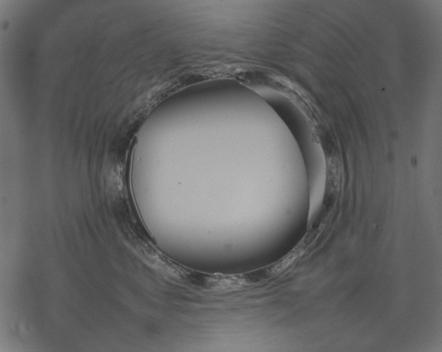 X0000077280621200611031527