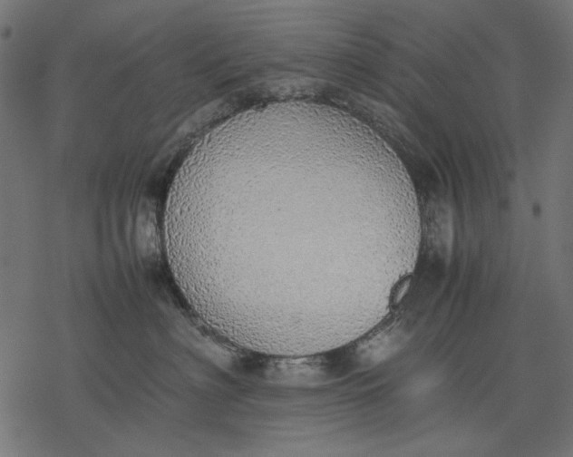 X0000077280622200611031527