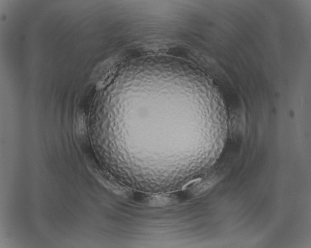 X0000077280623200611031527