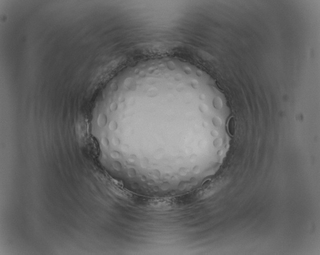 X0000077280624200611031527