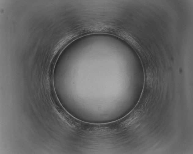 X0000077280626200611031526