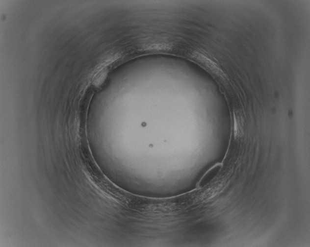 X0000077280627200611031526