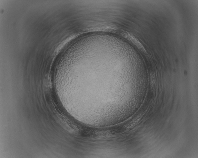 X0000077280628200611031526