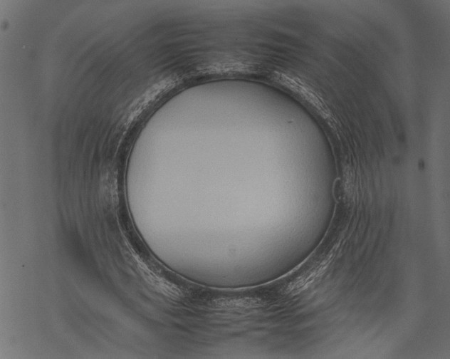 X0000077280629200611031526