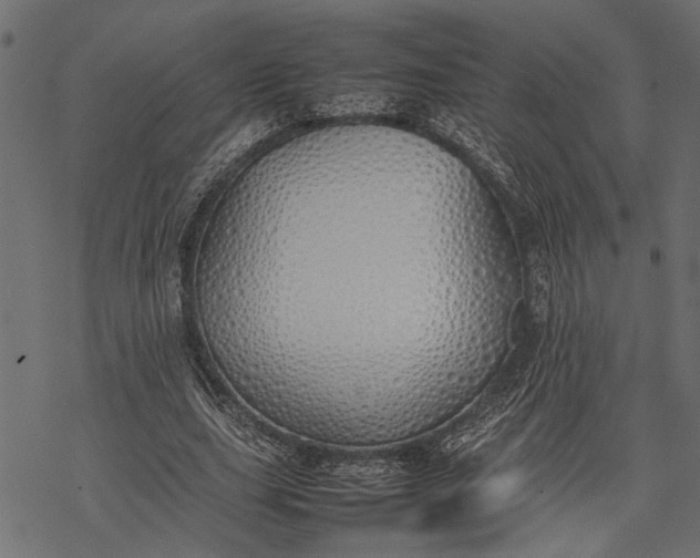 X0000077280631200611031526