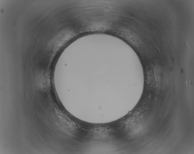 X0000077280632200611031526