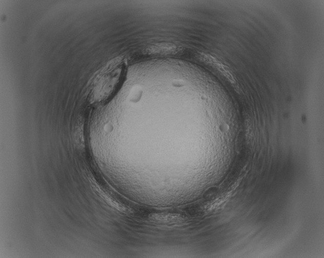 X0000077280633200611031526