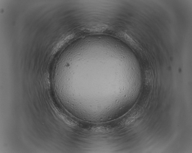 X0000077280634200611031526