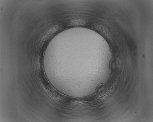 X0000077280635200611031526