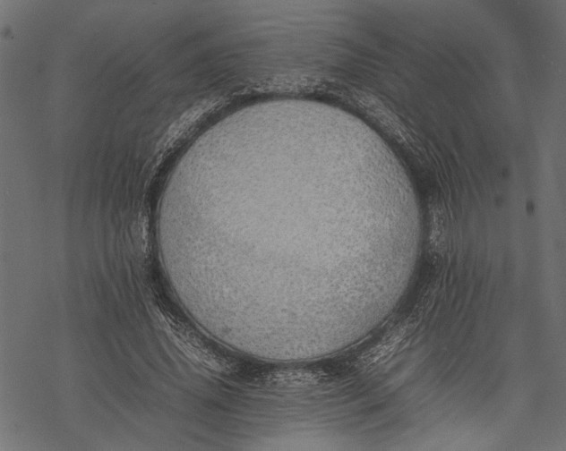 X0000077280636200611031526