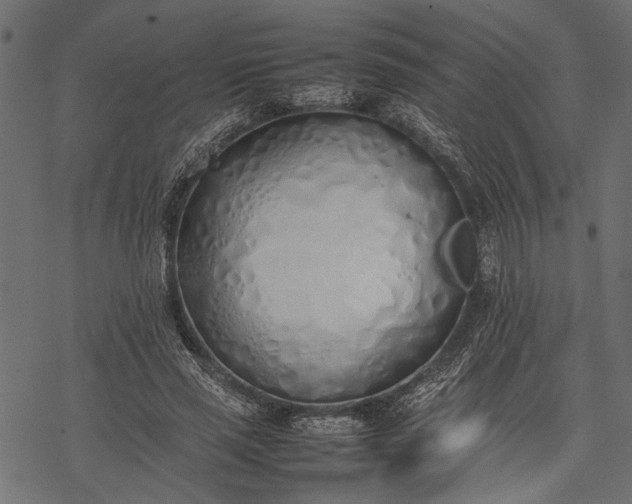 X0000077280637200611031526