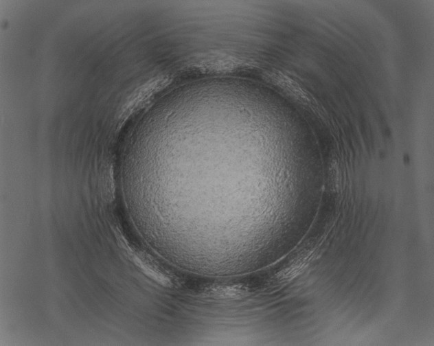 X0000077280638200611031526