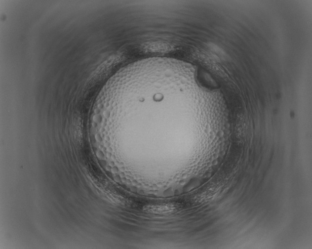 X0000077280639200611031526