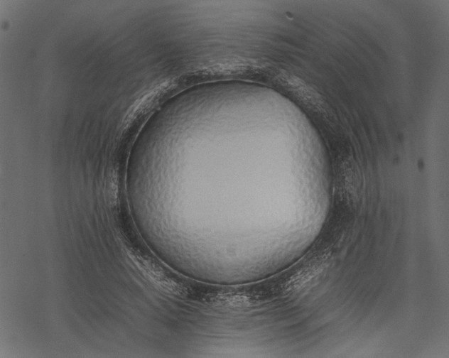 X0000077280640200611031526