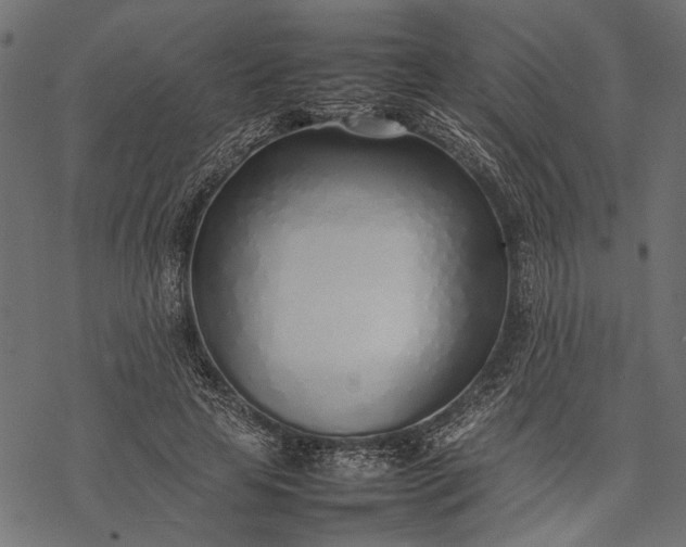 X0000077280641200611031526