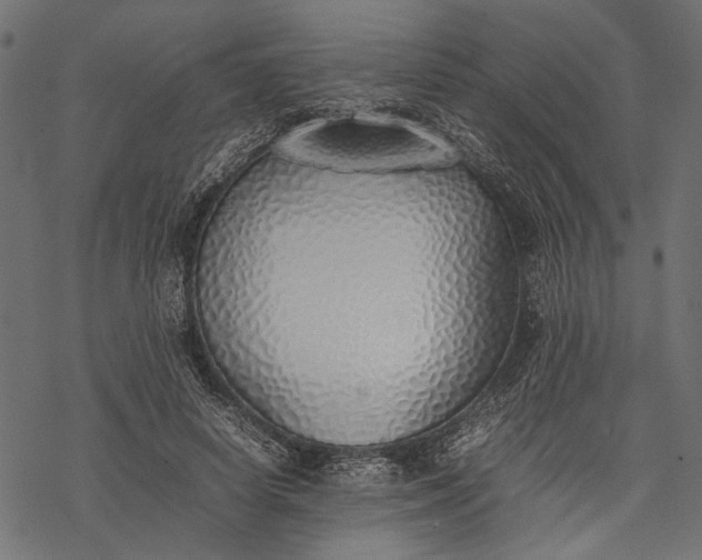 X0000077280642200611031526