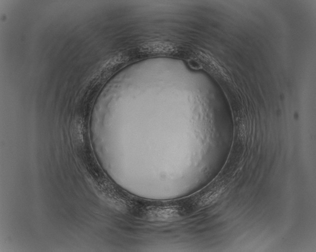 X0000077280643200611031526