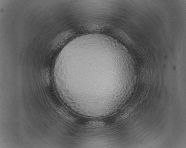 X0000077280644200611031526