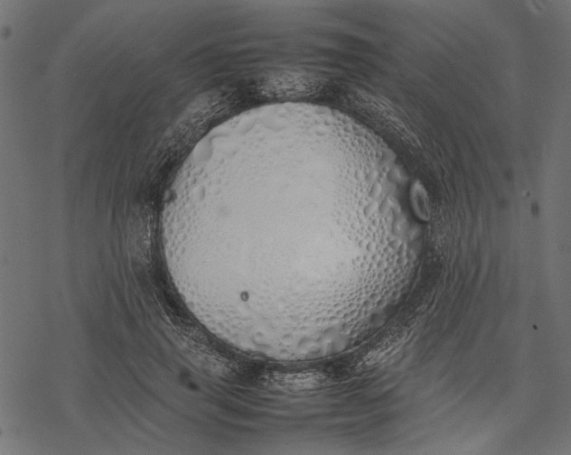 X0000077280645200611031526