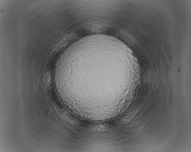 X0000077280646200611031526