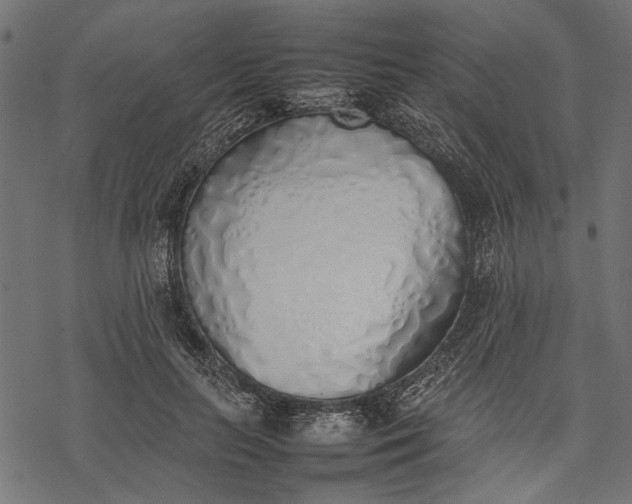 X0000077280647200611031526