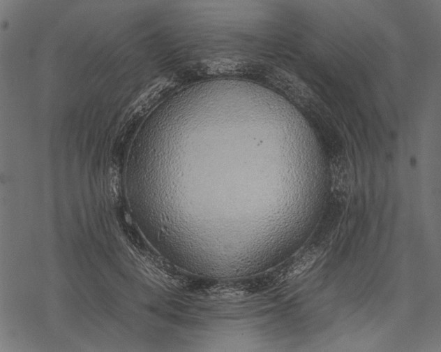 X0000077280648200611031526